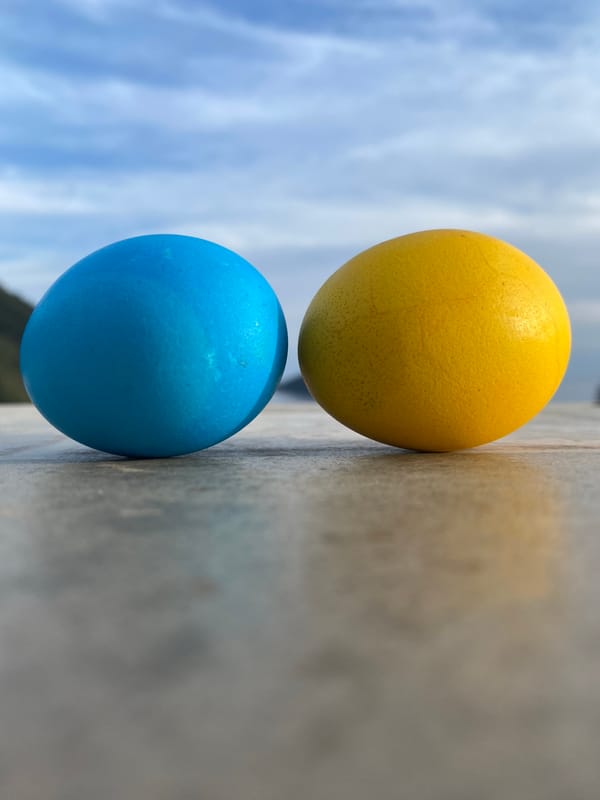 Painted eggs spotted on concrete surface in Budva