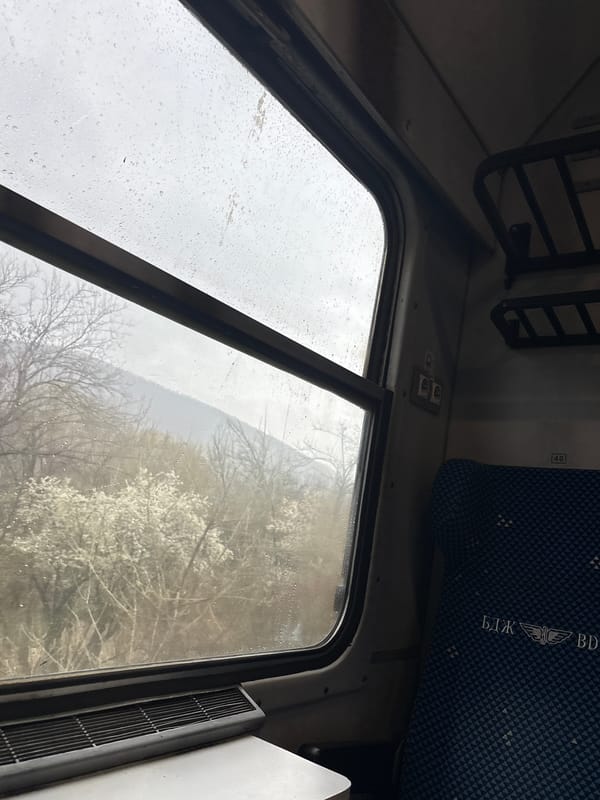 Rainy train journey through Bulgarian countryside with spring blossoms