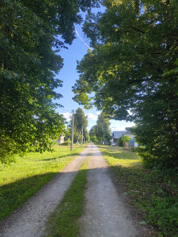 Summer afternoon in Velikovo, a quiet Russian village