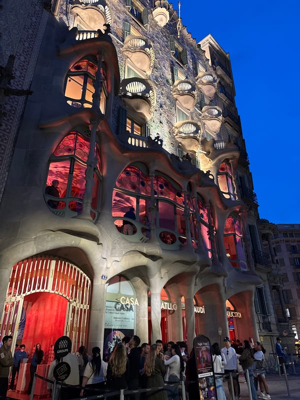 Dog in pink dress spotted during Barcelona walk