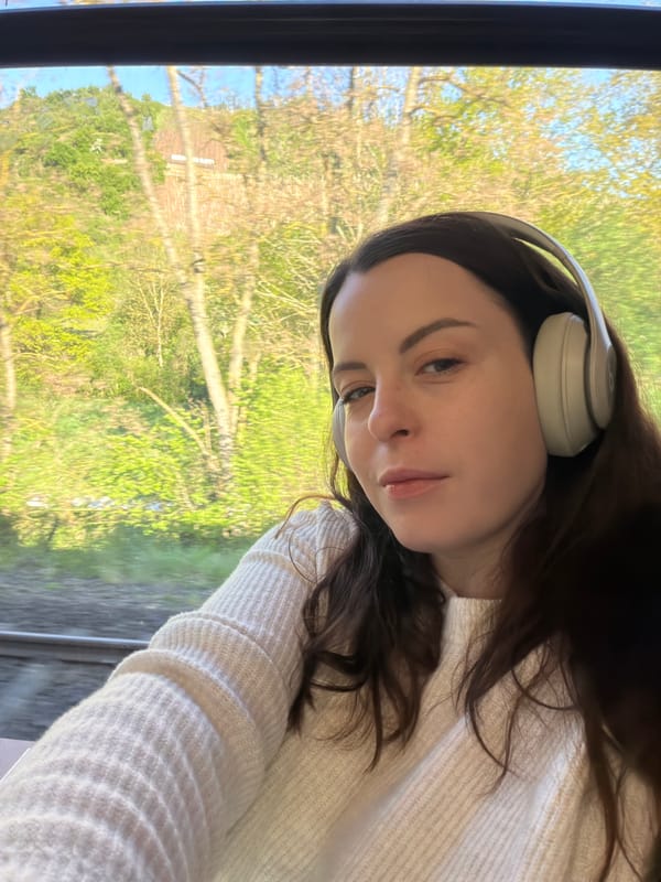 Train passenger documents journey through German countryside