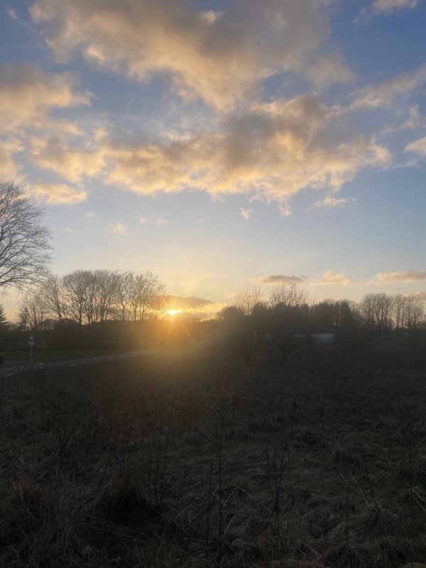 Sunset observed by multiple witnesses in Vejle, Denmark