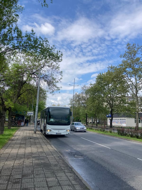White bus parks on city street, car visible