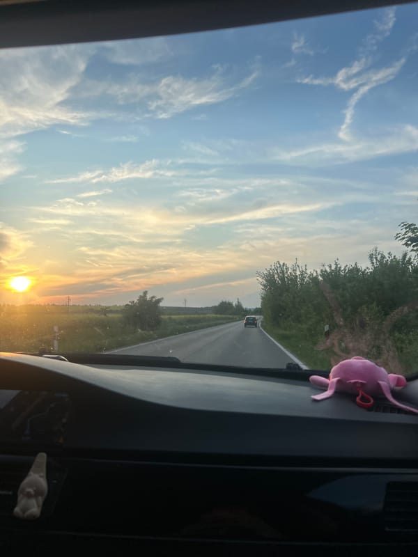 Driver captures sunset road view in Bozhichen, Bulgaria