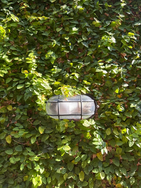 Mixed urban scenes documented in six-minute window