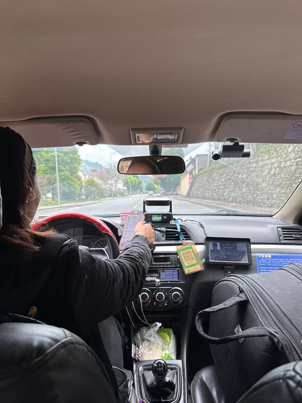 Driver uses smartphone while in vehicle in Wulong District