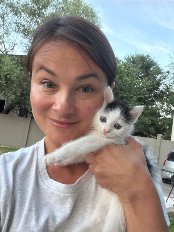 Woman with kitten amid construction scenes in Montenegro
