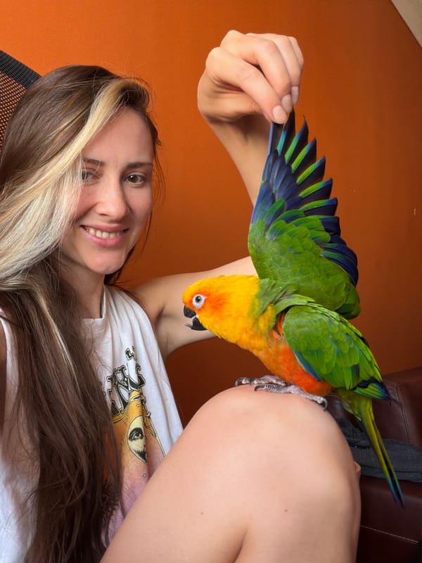 Woman interacts with colorful Sun Conure parrot in Khimki