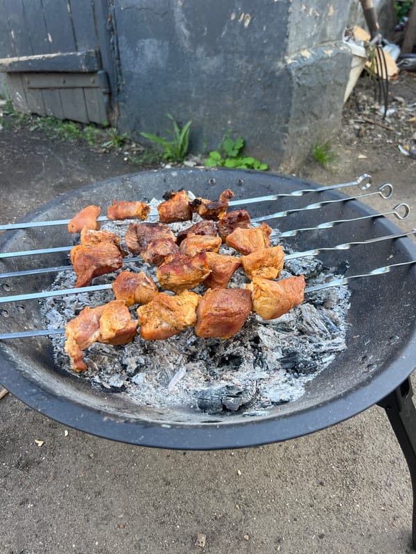 Backyard barbecue with child at play documented in Moldova