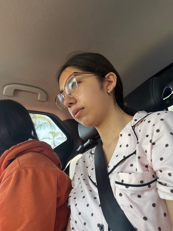 Woman in polka dot pajamas observed in car in Mexico
