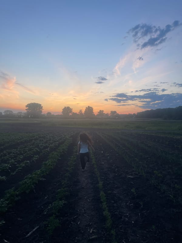 Rural twilight scenes documented across two-hour period June 2026