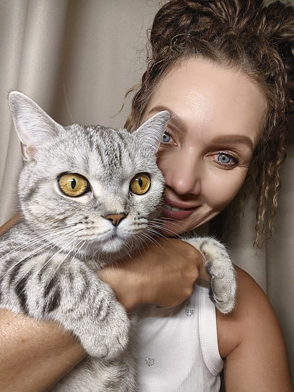 Cozy indoor afternoon with a tabby cat and a kid