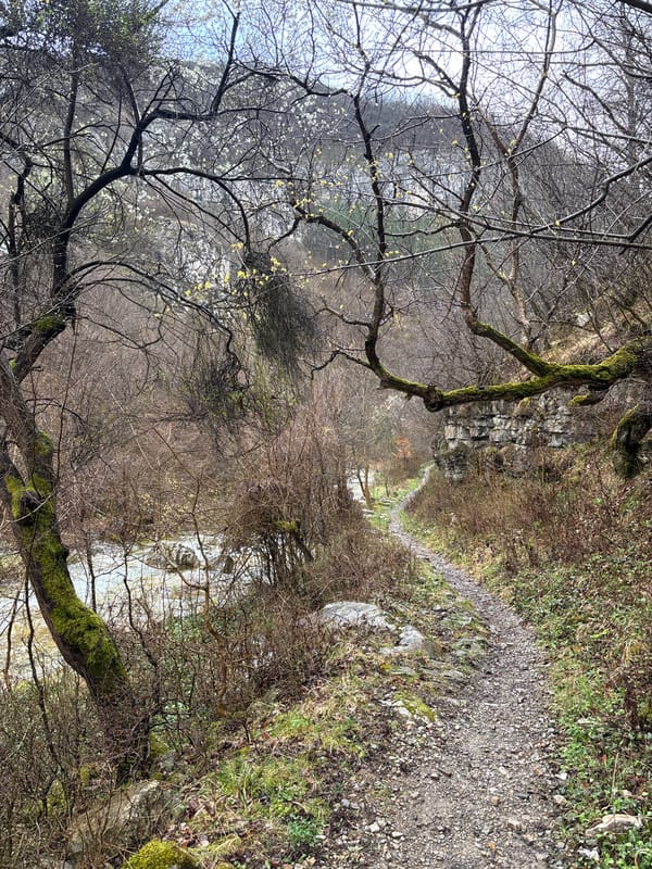 Rural path documented in Gubislav, Bulgaria countryside