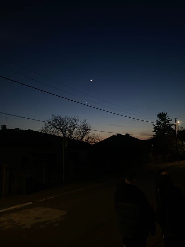 Evening life captured in Goritsa: crescent moon, birds, cats
