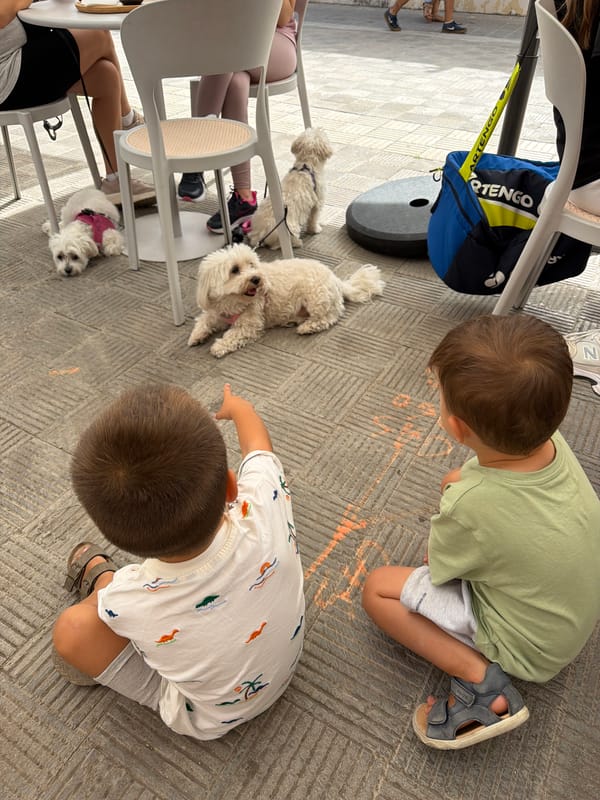 Relaxed café morning with dogs, flowers, and street life