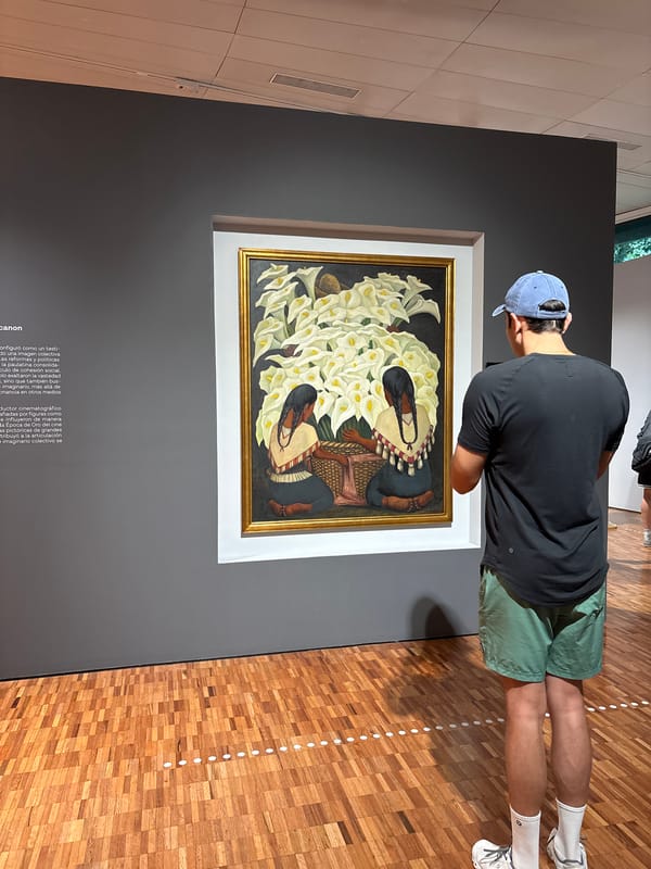 Museum visitor views painting in Mexico City