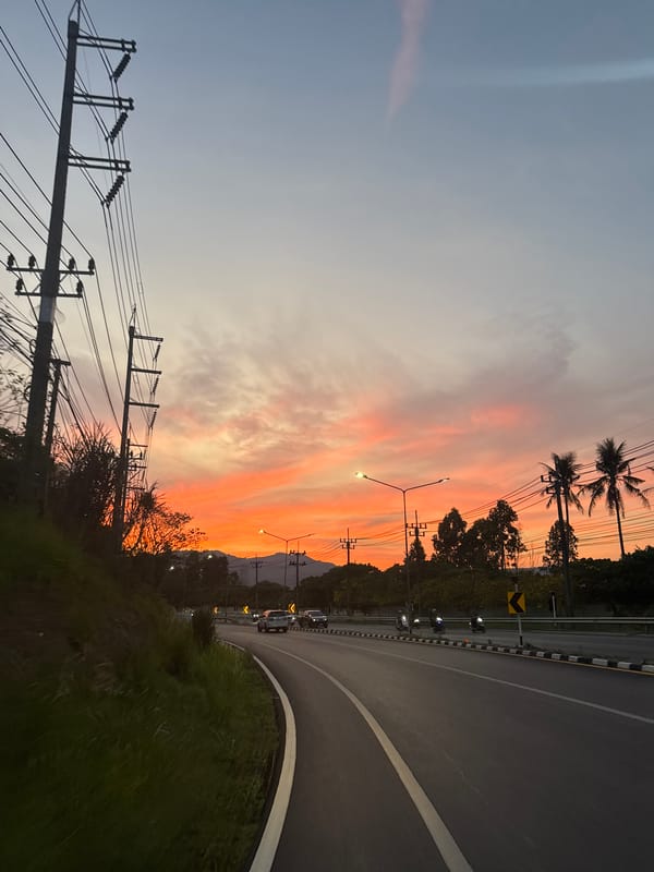 Sunset illuminates palm-lined road in Wichit, Thailand