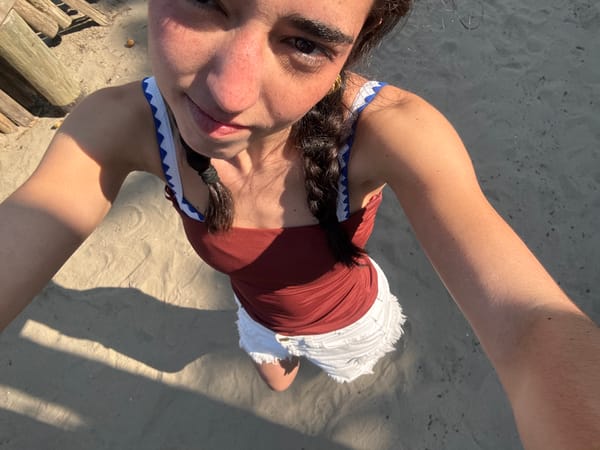 Beach scenes with palm trees and relaxing visitors captured