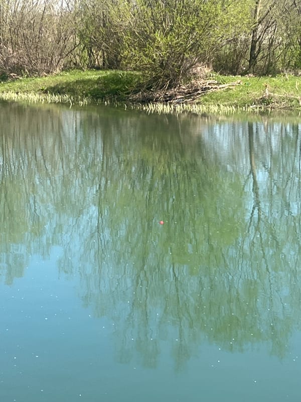 Tranquil waterway scene captured in Pudria, Bulgaria