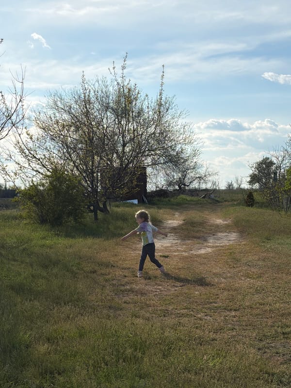 Child plays with border collie in Kamyshin park setting