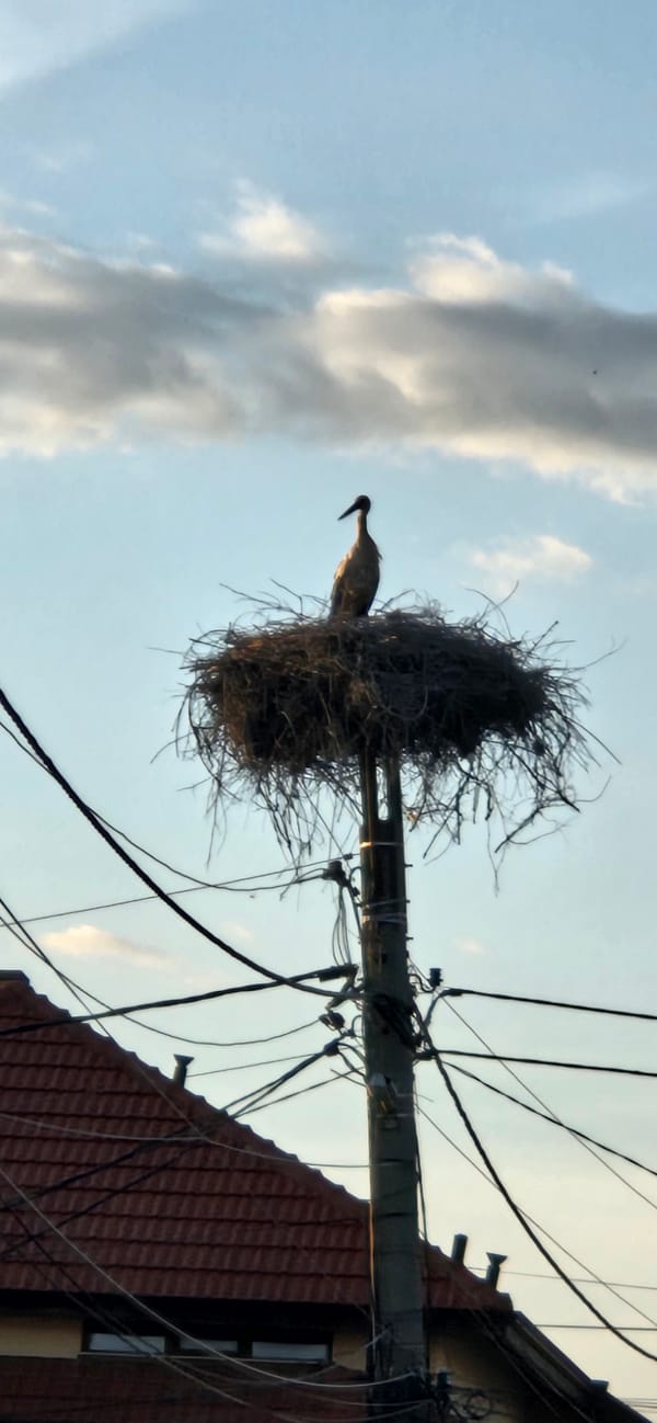 Spring scenes documented across Blagoevgrad, Bulgaria