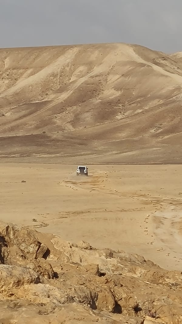 Desert vehicle activity observed in Israel's Tamar region