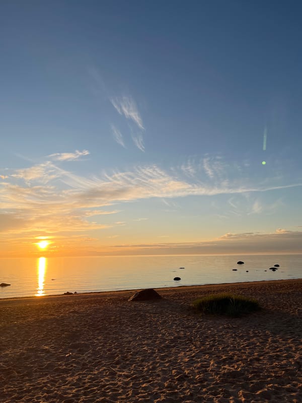 Sunset evening along the Sosnoviy Bor coastline and surroundings