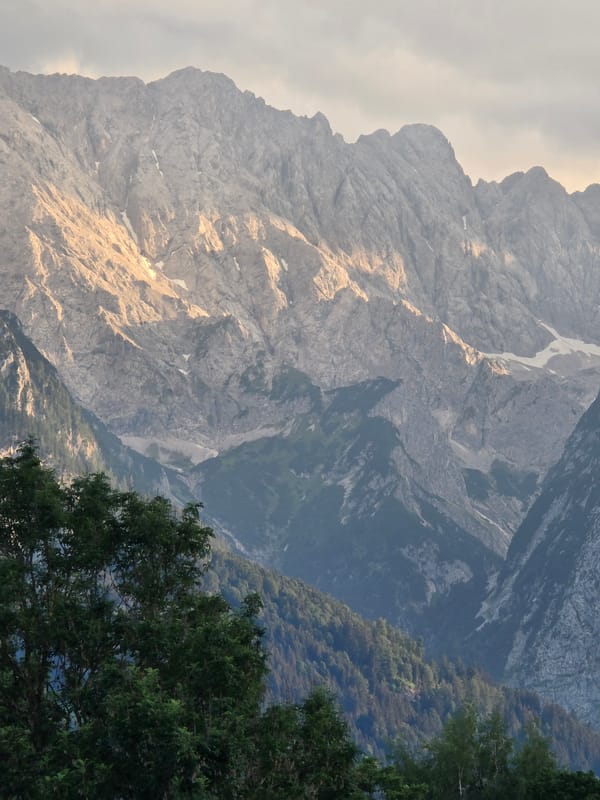 Summer evening in the Bavarian Alps, meadows to peaks