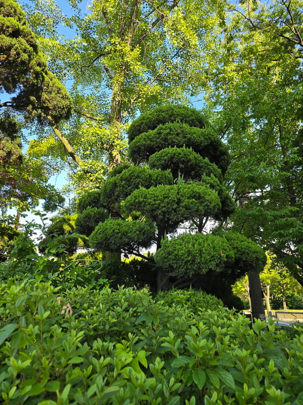 Industrial Ansan morning: landscaping meets manufacturing infrastructure