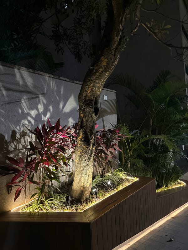 Nighttime urban documentation across São Paulo hotels and buildings