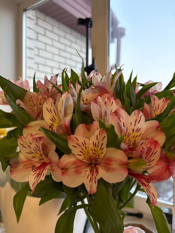 Quiet afternoon moments captured in Ulyanovsk homes and windows