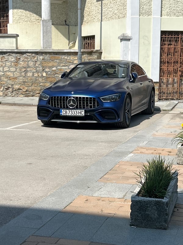 Mercedes parked, Bulgarian flag flying, dog relaxing nearby