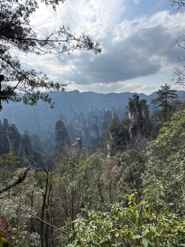Tourist hikes Wulingyuan mountains, captures scenic views and selfies