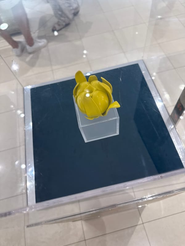 Luxury shopping spree documented at Puebla mall over three hours