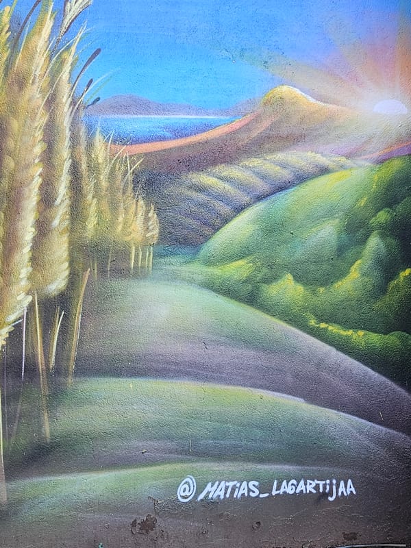 Street murals featuring nature and anatomical art spotted in Temuco