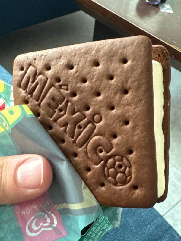 Quiet evening with pets documented in Mexican home