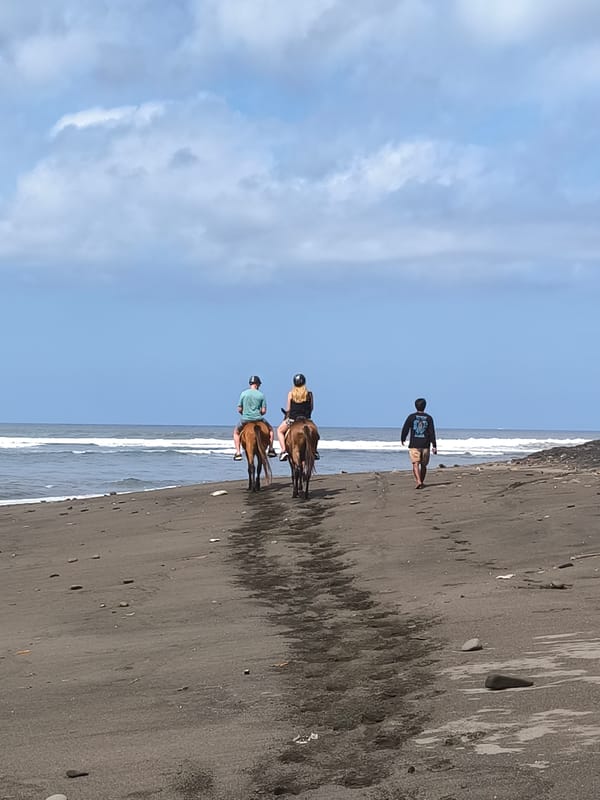 Morning scenes captured in Blahbatuh: beach riders, ancient banyan