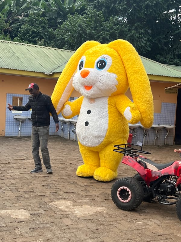 Children's pool party with inflatable attractions in Marua, Kenya