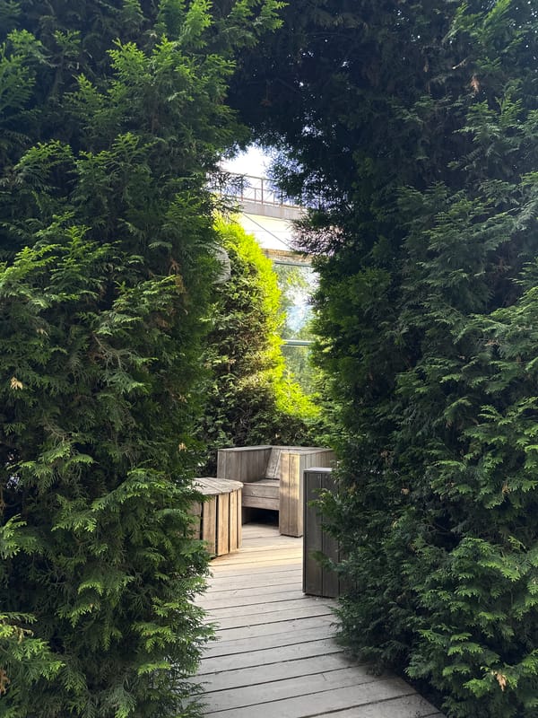 Afternoon tour through a Moscow botanical garden greenhouse