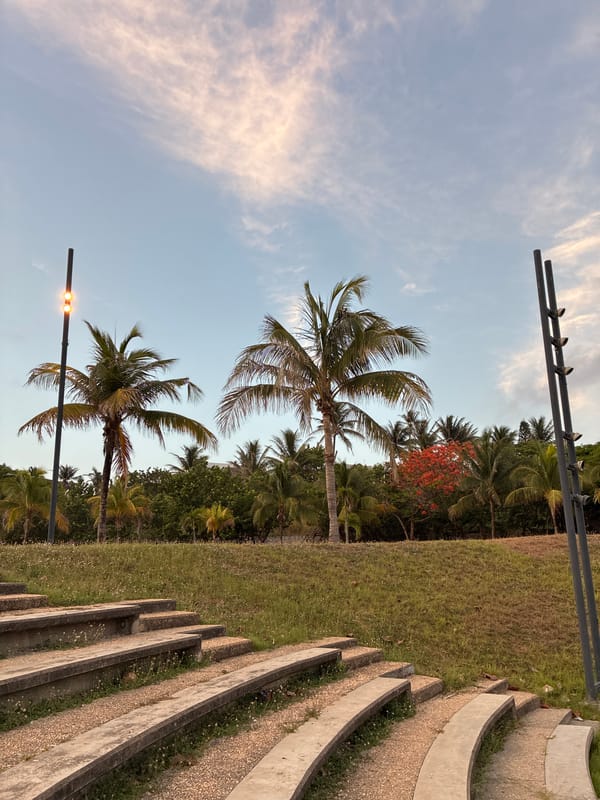 Sunset view captured at Coatzacoalcos amphitheater with palm trees