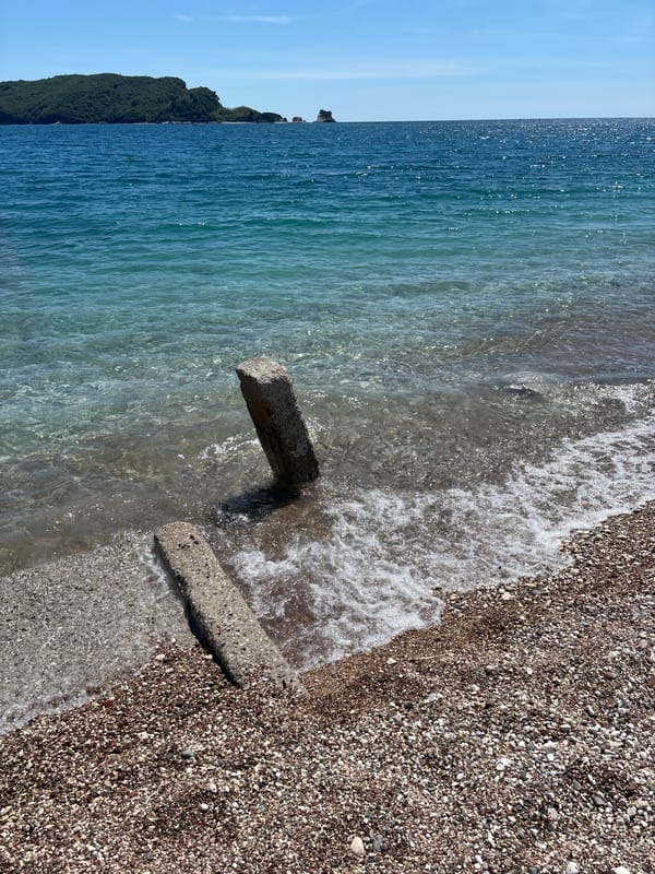 Woman walks Yorkshire Terriers on Budva beaches, Montenegro