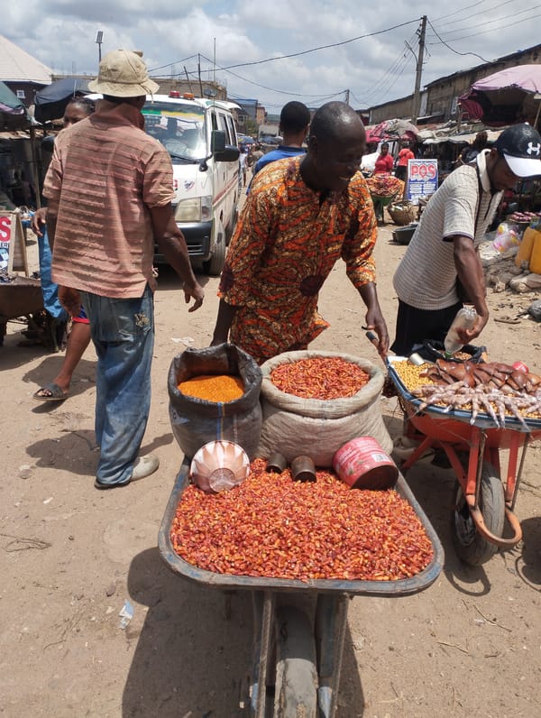 Daily commerce unfolds at Fegge Nigeria marketplace