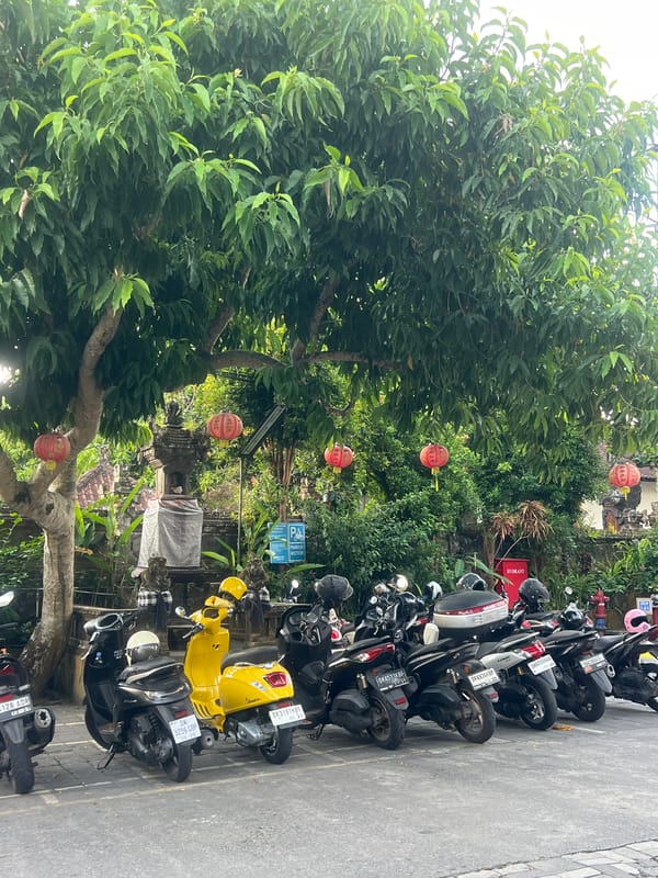 Morning street life documented in Ubud District, Indonesia