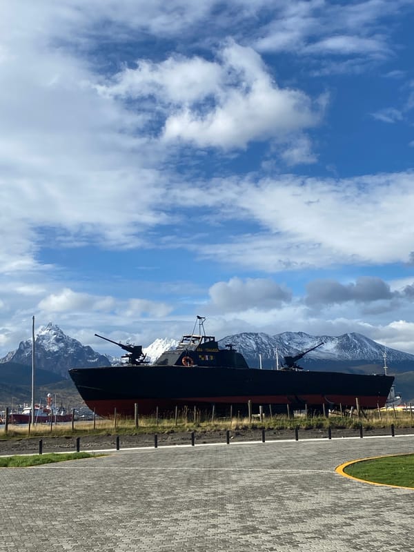 Tourist captures scenic Ushuaia landscapes and local wildlife
