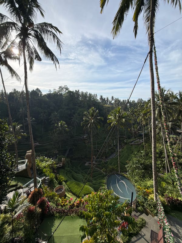 Tegallalang rice terraces, swings, and jungle scenery in Bali