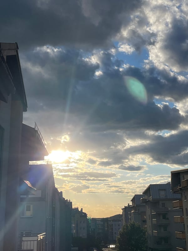 Urban sky watching and indoor cat moments documented