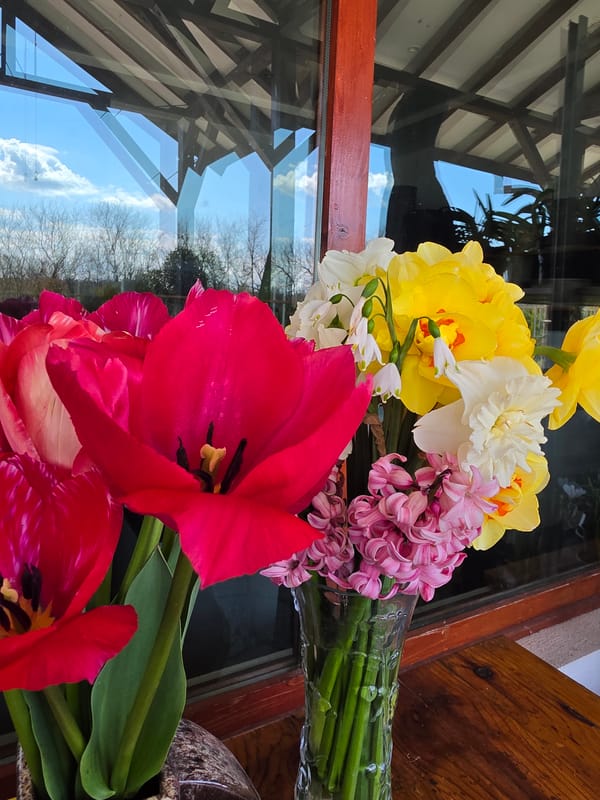 Floral still-life photograph captured in Haskovo, Bulgaria
