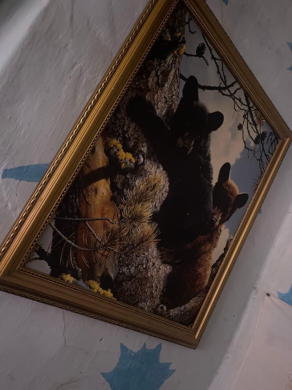 Eclectic objects and outdoor moments from a Tashkent afternoon