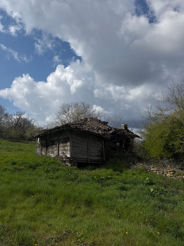 Spring contrasts captured in Bulgarian village: decay and bloom