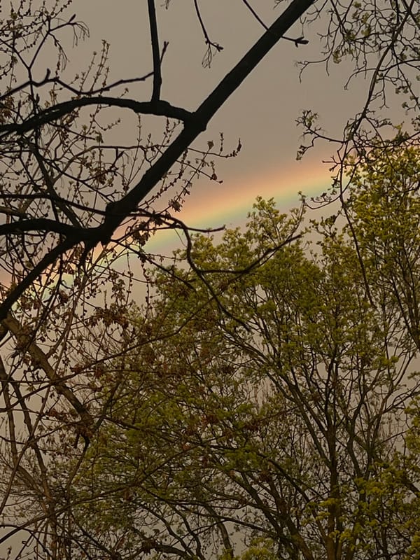 Rainbow spotted over Newburgh through spring trees